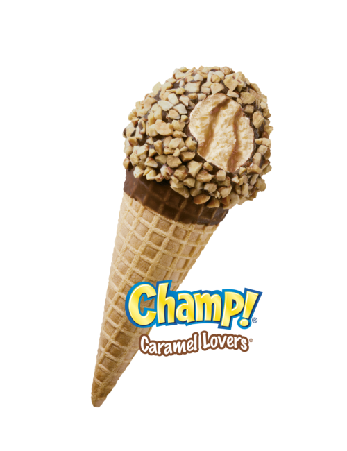 King Size Chocolate Eclair Bar Ice Cream Distributors of Florida